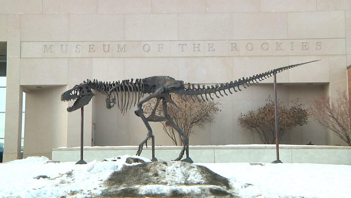 t rex at the smithsonian