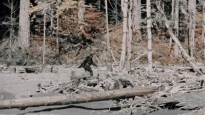 bigfoot patterson gimlin film