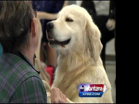 Helena Kennel Club S Annual Dog Show Happening This