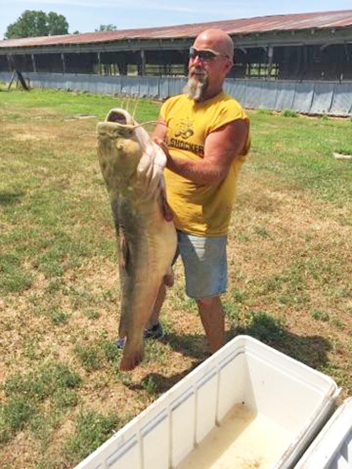Monster 80pound catfish landed with ‘el cheapo’ gear at Marion