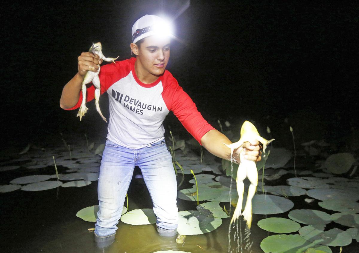 Catching frogs a summer rite of passage for some Kansans, Sports