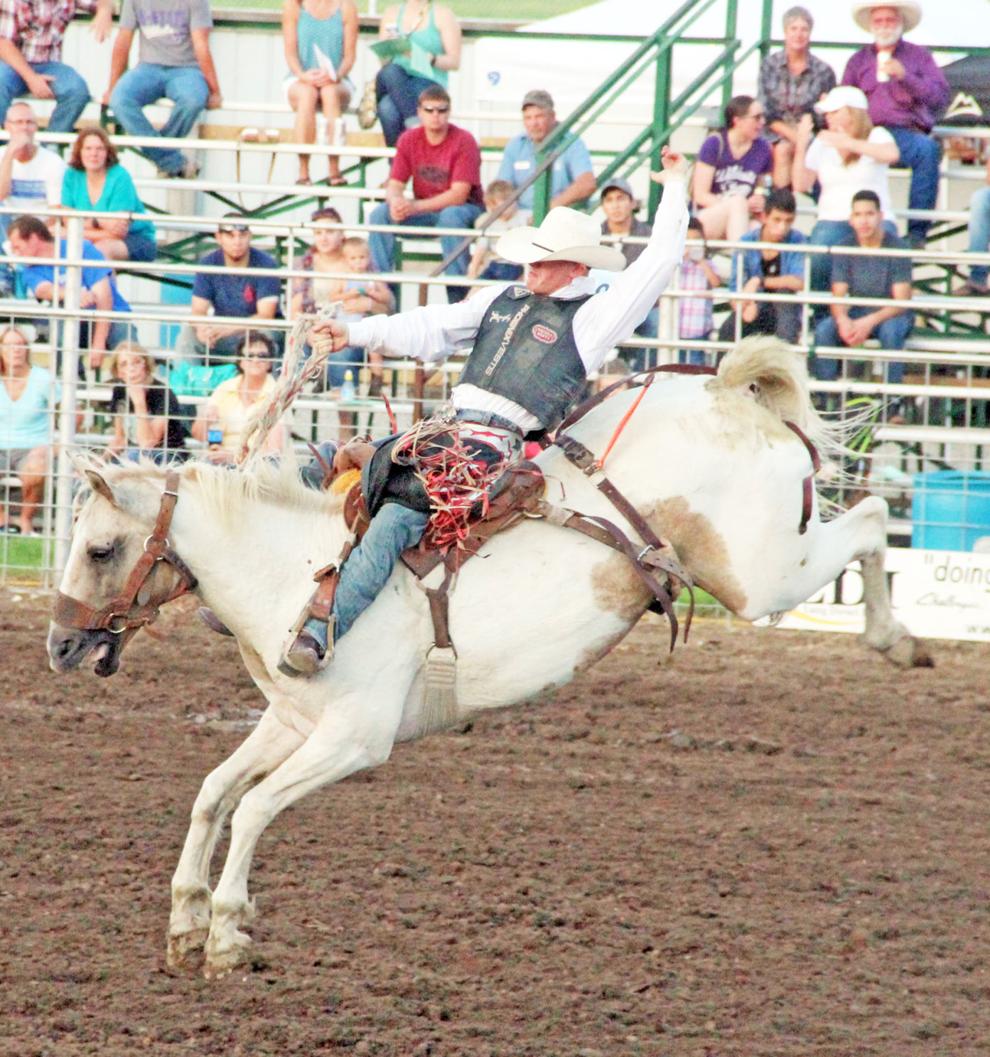 Saddle bronc, bull riding leaders meet up with bucking horse, bull for