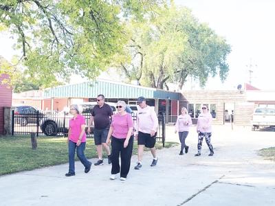 Impact the Cure raises funds for breast cancer with annual 5K walk, News