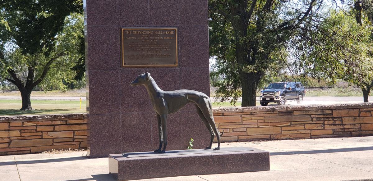 National Greyhound Society may hold its last meet-up this ...