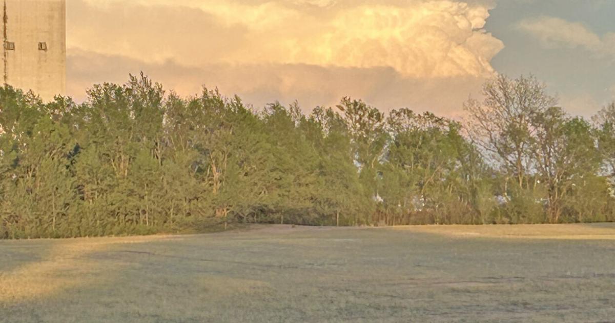 St. George Ks Spring Sure sign of spring in Kansas | News | abilene-rc.com