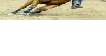 Kansas has six qualifiers for the National Finals Rodeo - Vimarsana News
