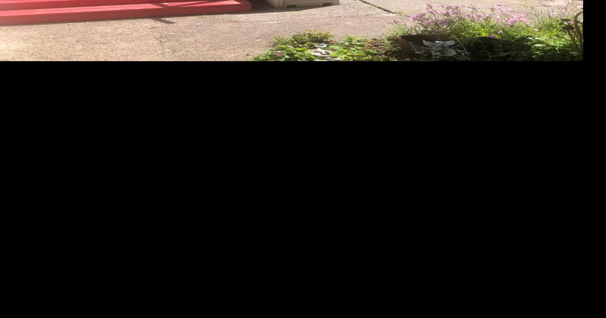 Firefighters contain Los Molinos structure fire Local