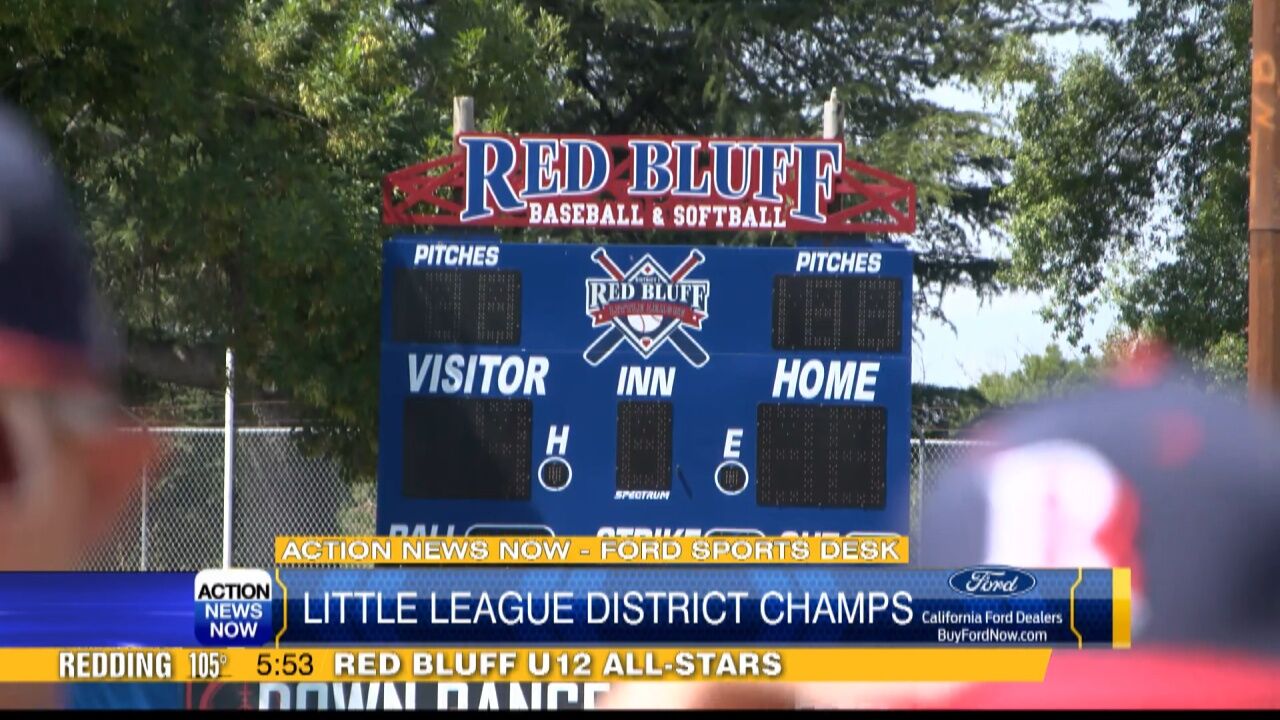 Red Bluff Cubs Little League wins league – Red Bluff Daily News