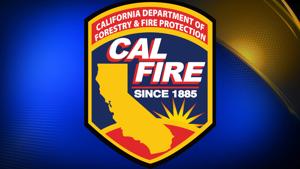 Caldor Fire Continues to Reshape Sierra Nevada Forests Years Later