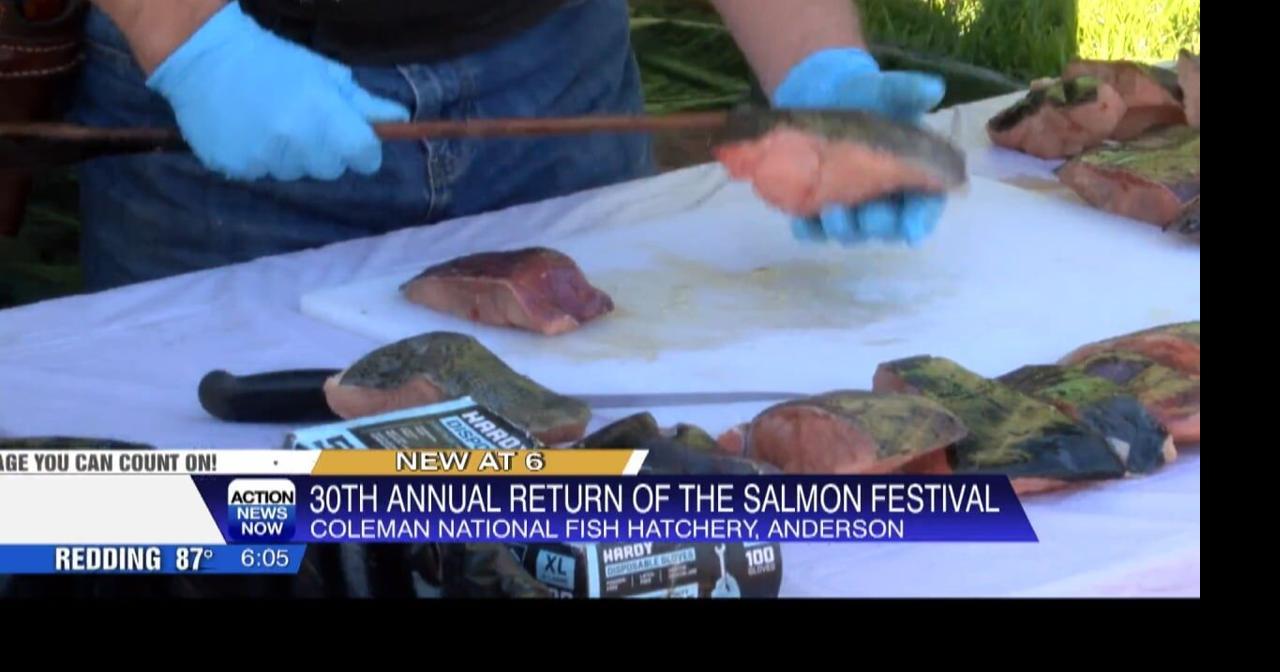 30th annual “Return of the Salmon Festival” takes place at Coleman Fish Hatchery | News