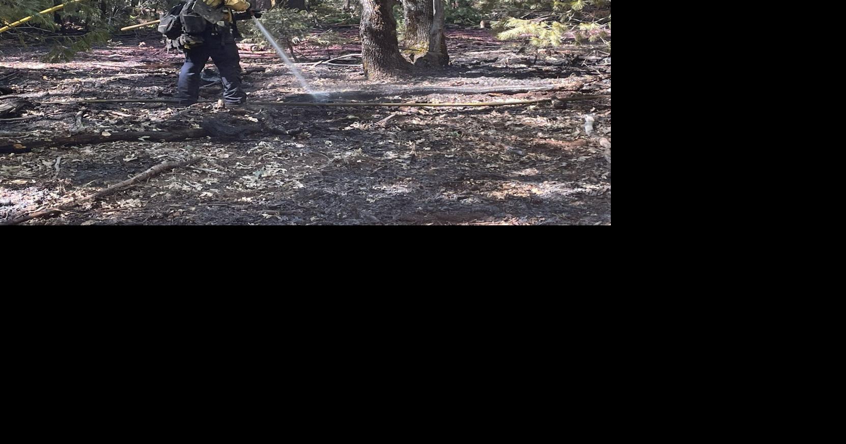 CAL FIRE contains vegetation fire near Forest Ranch | News ...