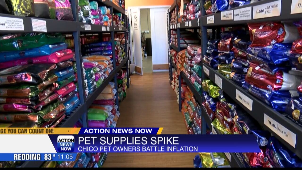 Inflation spiking the cost of pet food and supplies