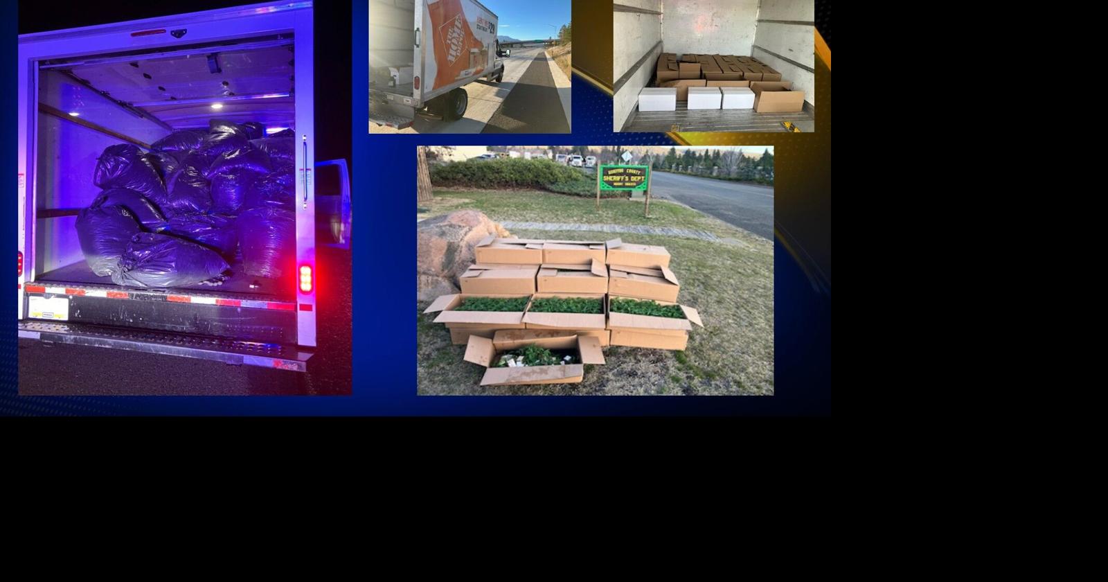 Deputies seize illegal marijuana near Grenada and Mount Shasta