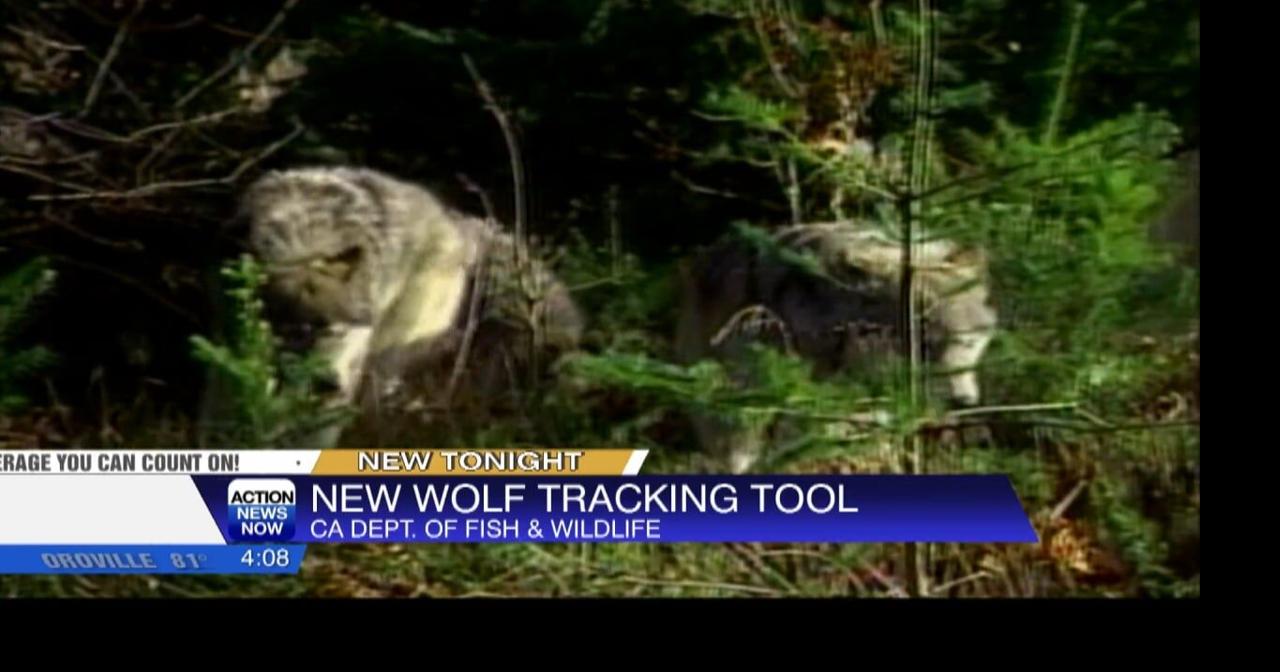 California Department of Fish & Wildlife announces new mapping tool ...