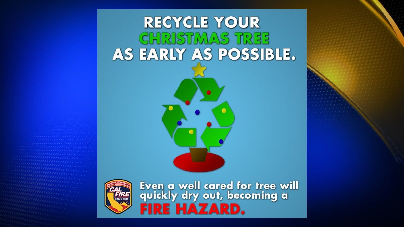 CAL FIRE reminder: Dispose of your Christmas tree after the holidays to ...