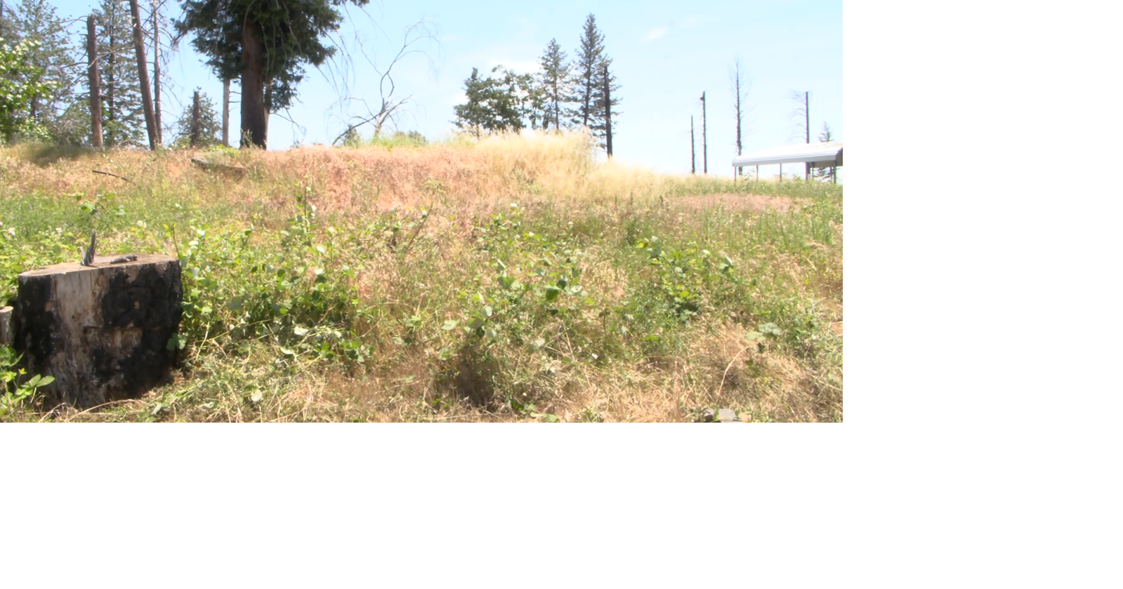 Wildfire mitigation project planned along Skyway corridor | News ...