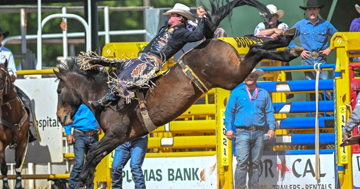 Digital Control Detailed Rounded Icon Wyoming cowboy, cowgirl lead events at Red Bluff Round-Up | News ...