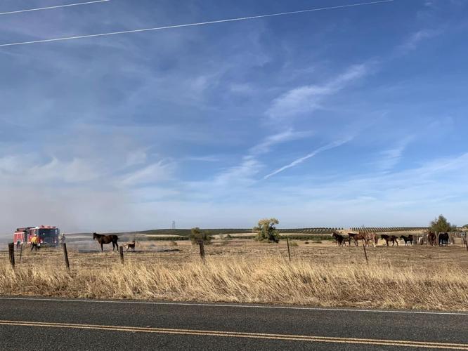 Firefighters contain vegetation fire in Corning News