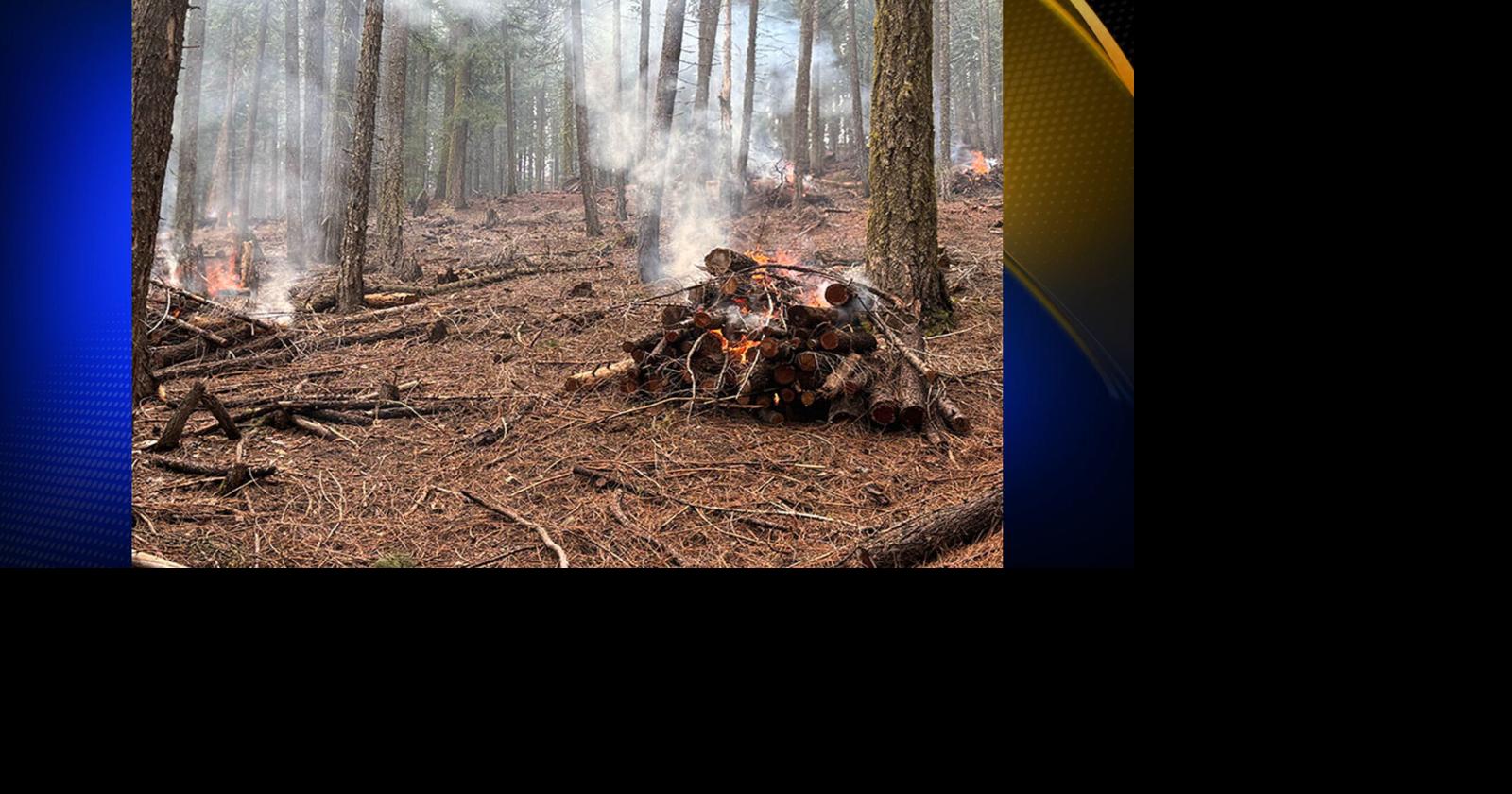 Crews in the Plumas National Forest complete 55 acres of prescribed pile burning