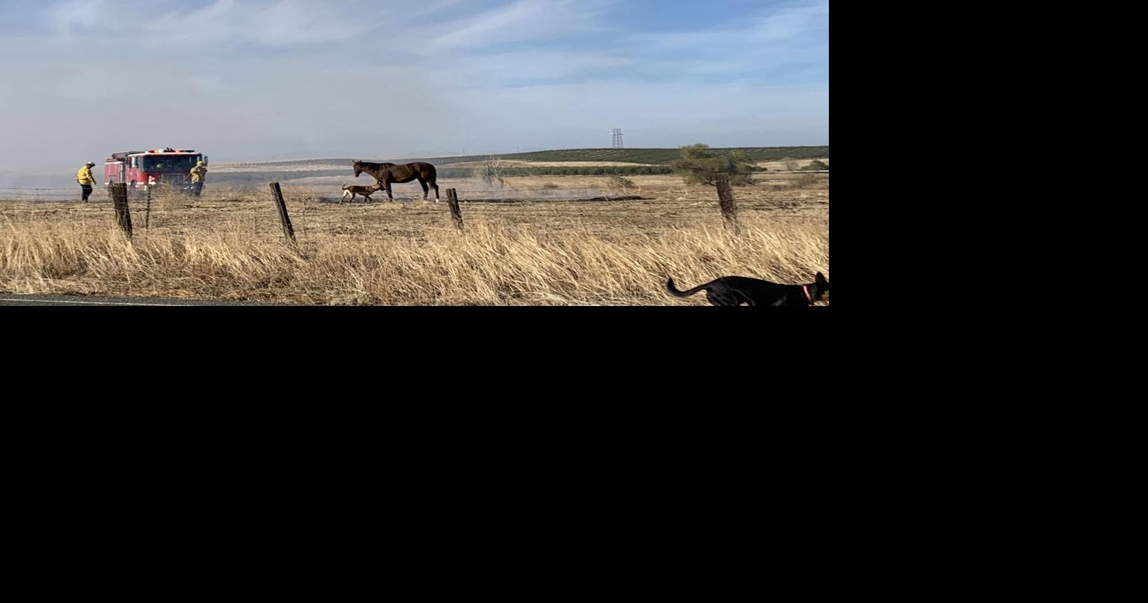 Firefighters contain vegetation fire in Corning News