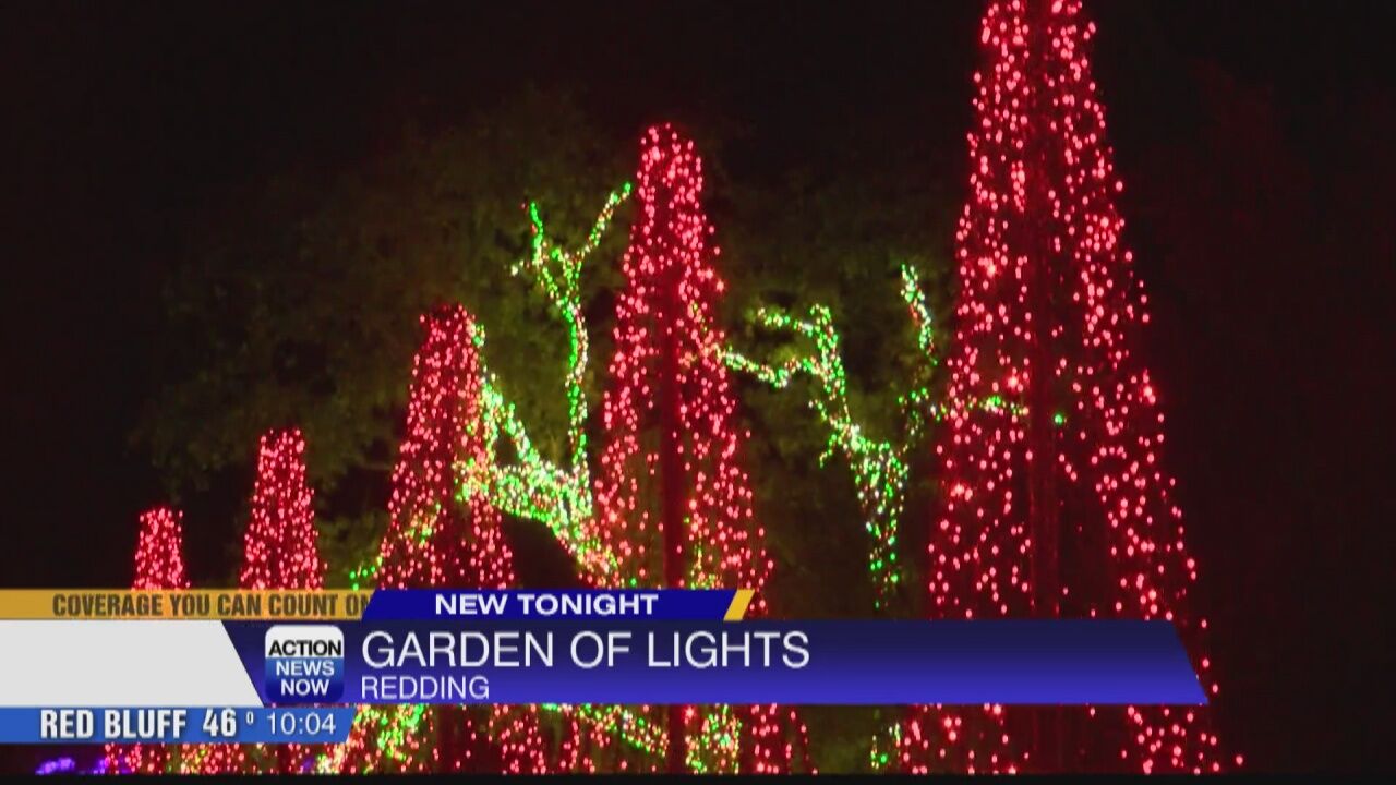 Redding Christmas Lights 2022 Redding Garden Of Lights Previews Their New Display For Employees | Local | Actionnewsnow.com