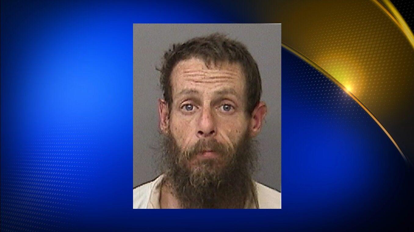 Shasta County deputies arrest felon for possession of guns and