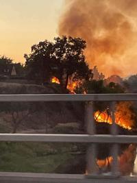 Platina Fire grows to 250 acres southwest of Redding