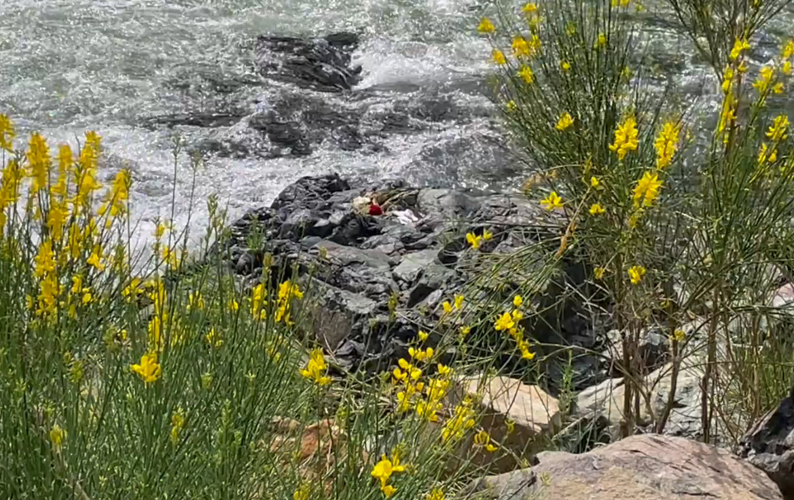 CAL FIRE No life jackets worn during drowning Local