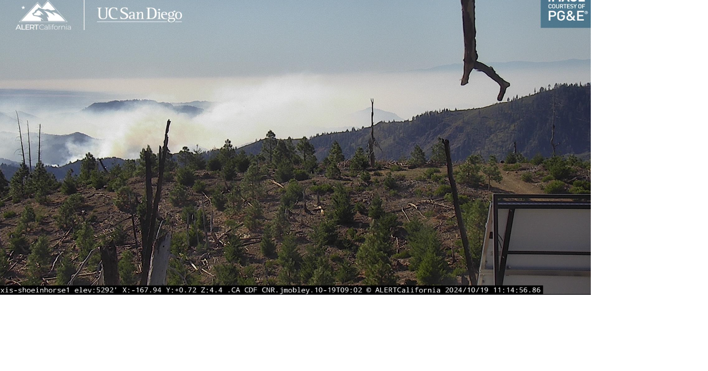 Shoe Fire 5,099 acres, 23 contained News