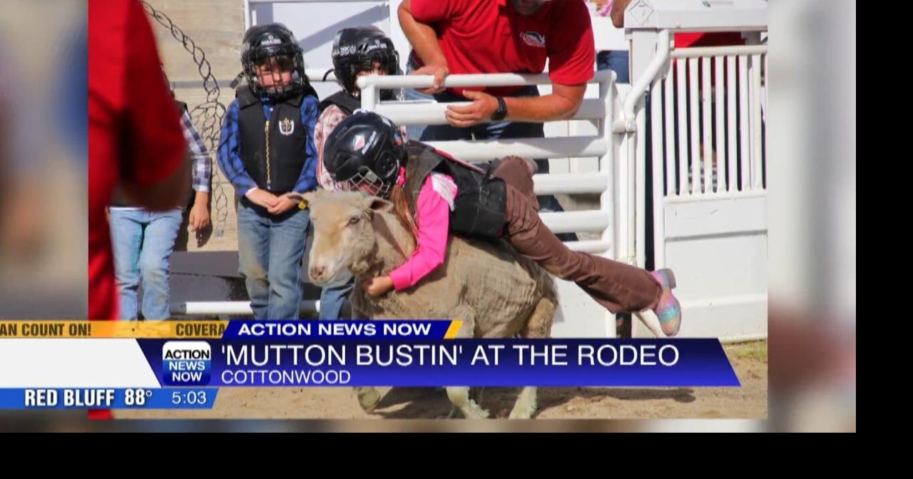 Mutton busting kicks off 78th Redding Rodeo week festivities | Video ...