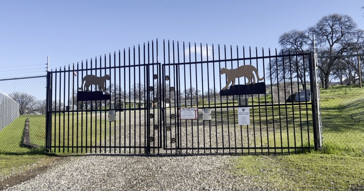 PETA takes legal action in lawsuit filed against Barry R. Kirshner Wildlife Foundation