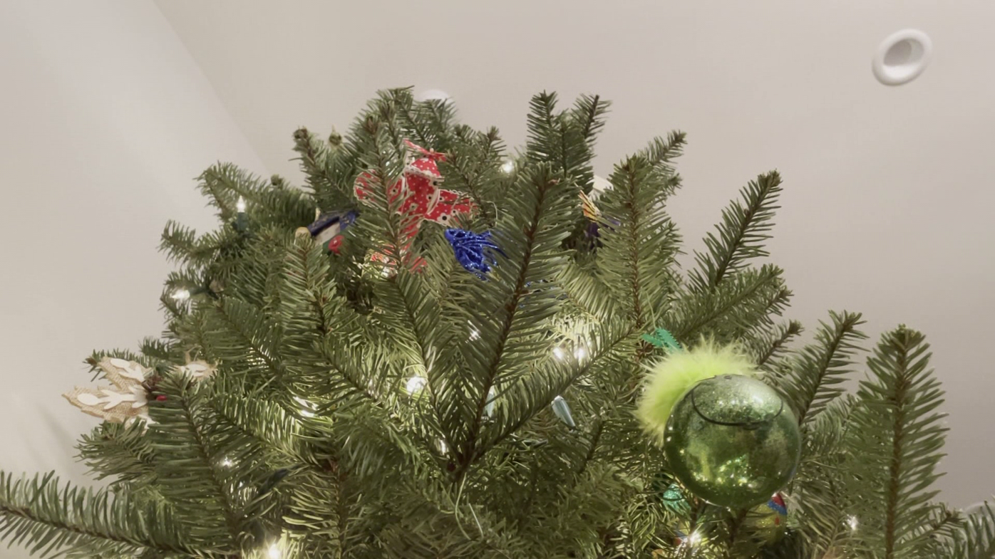 How to get a Christmas tree permit for the Shasta-Trinity National Forest |  News | actionnewsnow.com