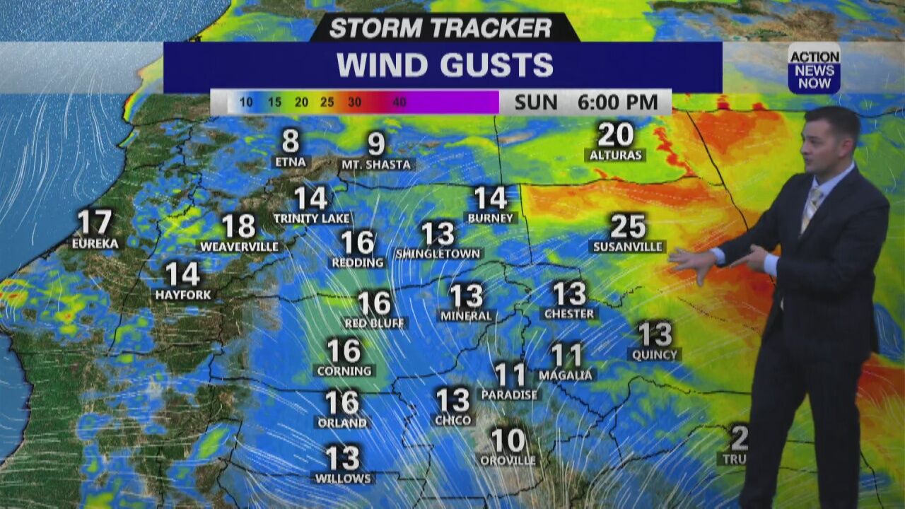 Storm Tracker Forecast: Mild & Breezy To End Your Weekend | Local ...