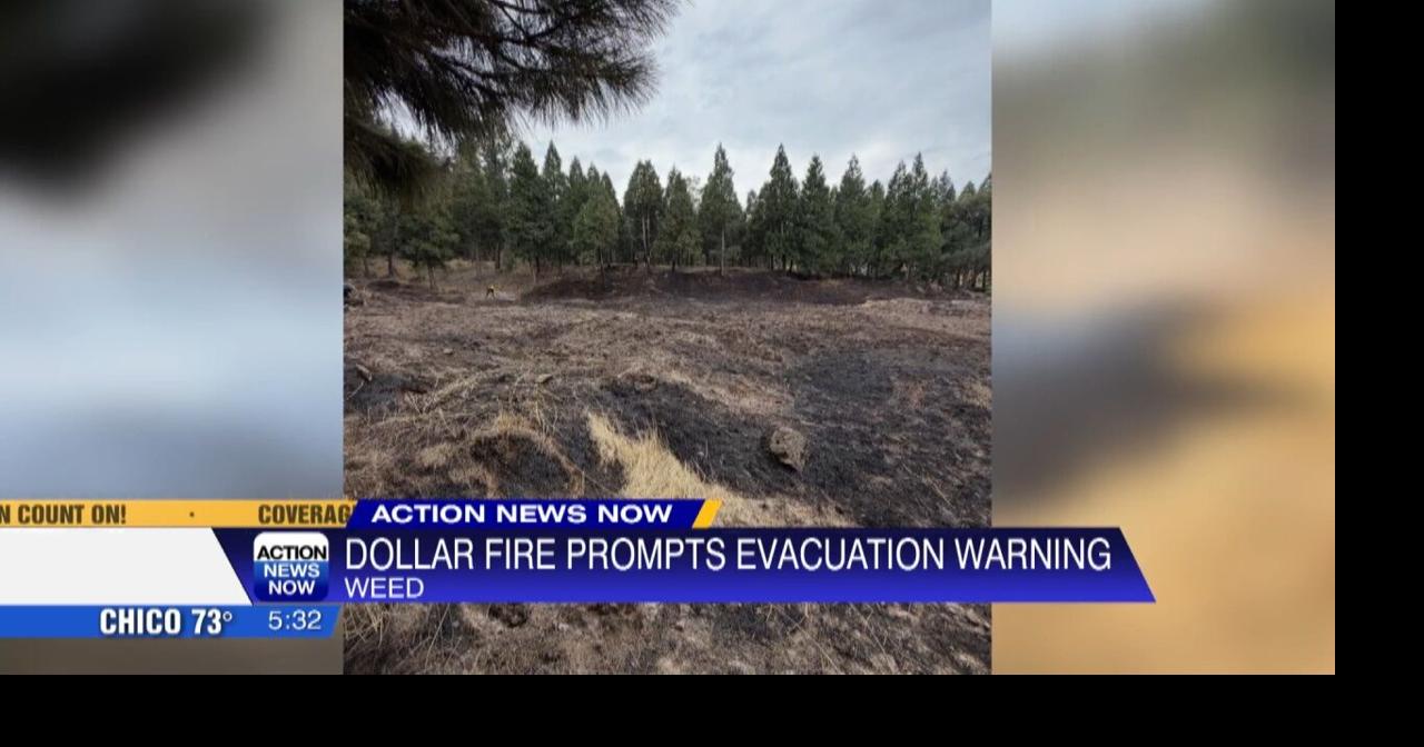 Weed vegetation fire contained near Dollar General