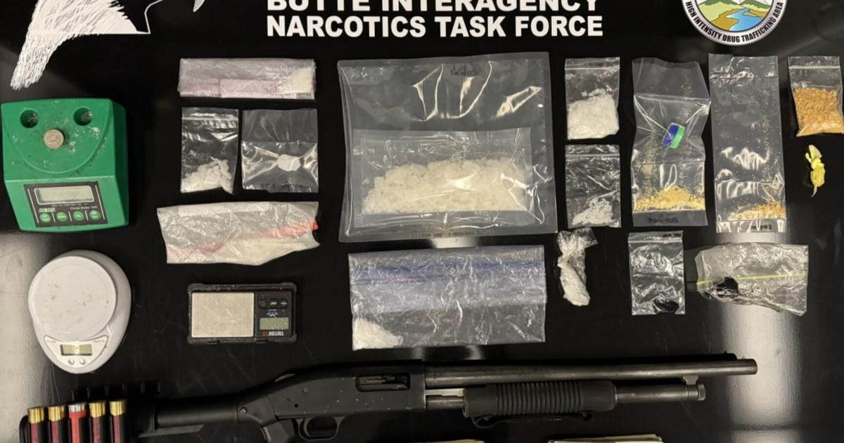 Active Dimethyltryptamine lab found during BINTF service of search ...