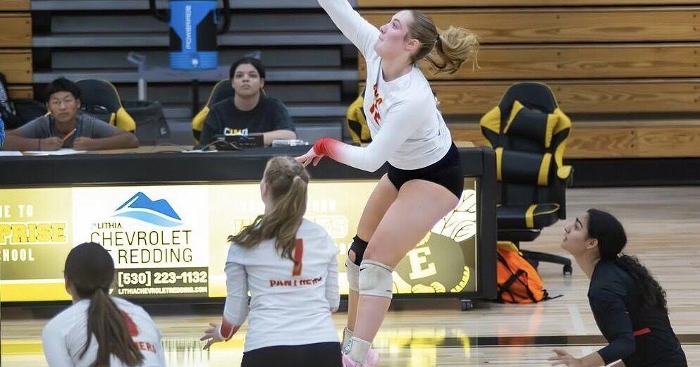 Scholar Athlete of the Month: Ailee Cook