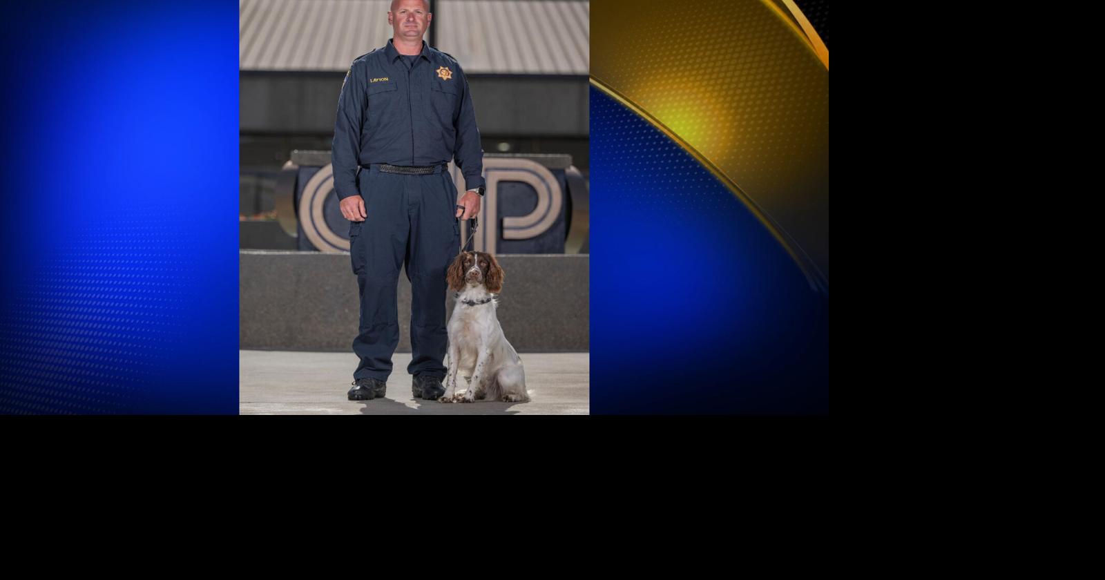 California Highway Patrol holds graduation ceremony for six new canine teams, including first-ever Springer Spaniel