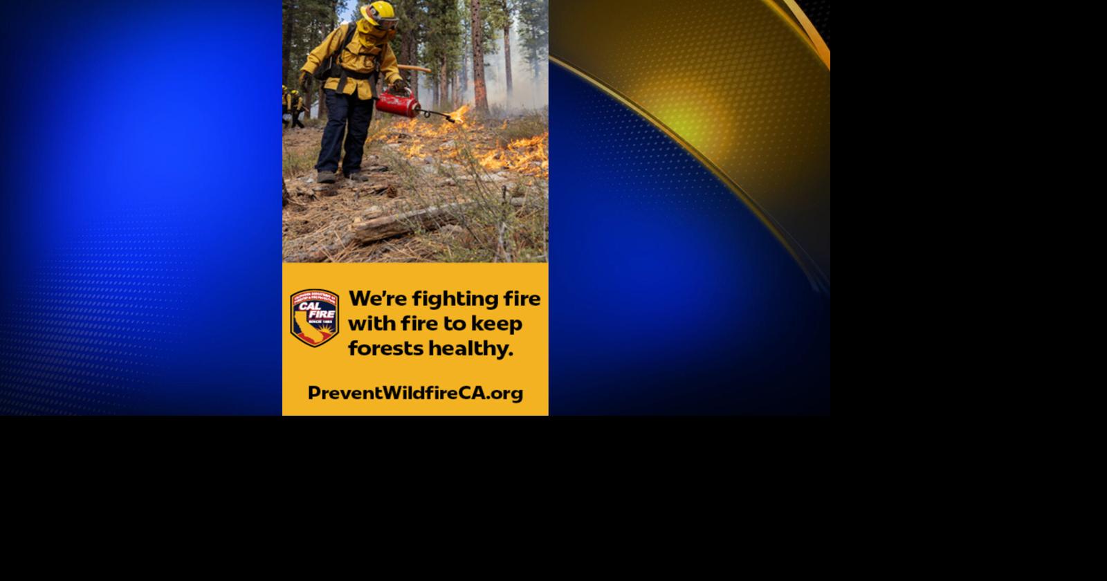 CAL FIRE launches new forest health education campaign