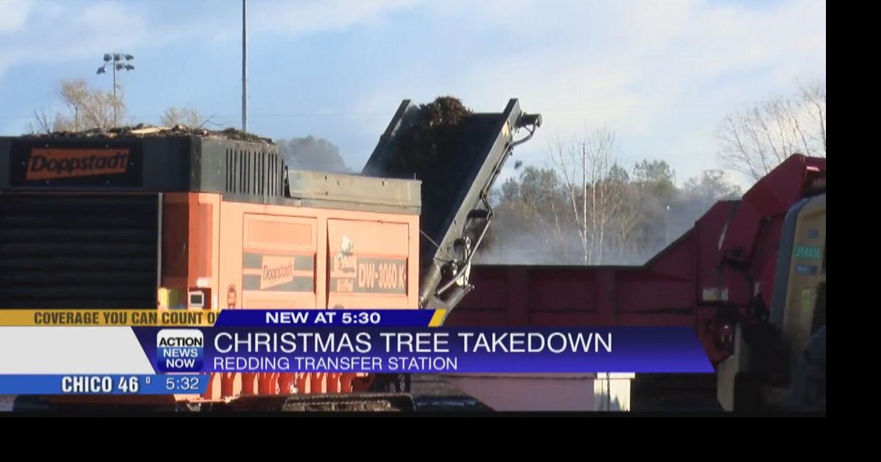 How to properly get rid of your Christmas tree | Local | actionnewsnow.com