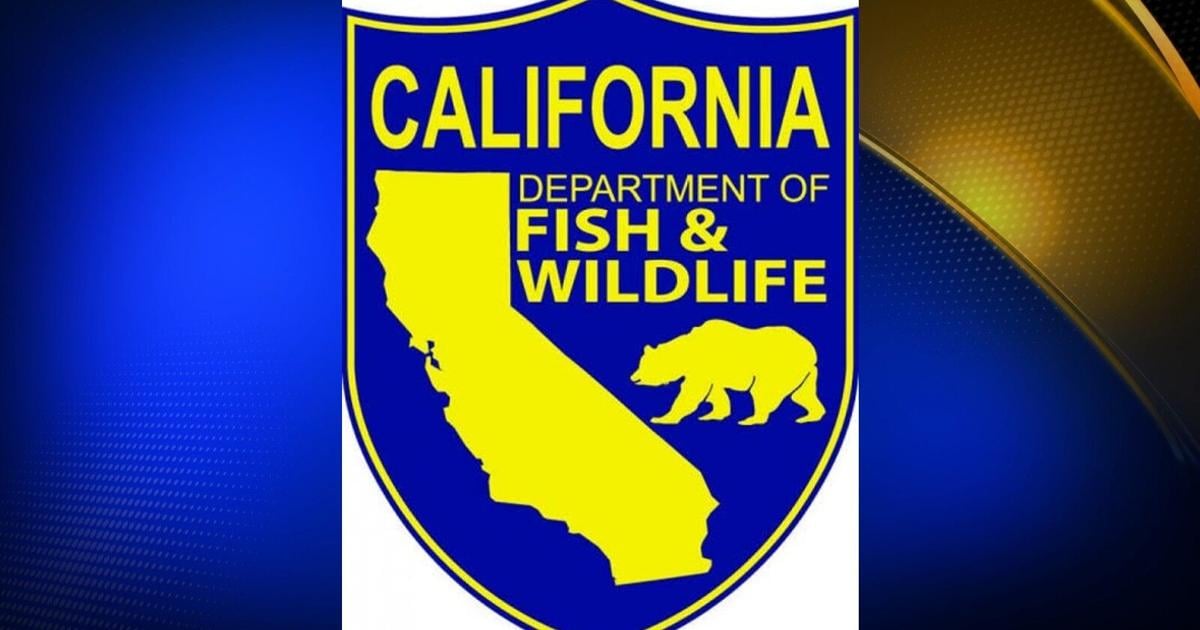 New wildlife conservation plan revealed by the California Department of Fish and Wildlife