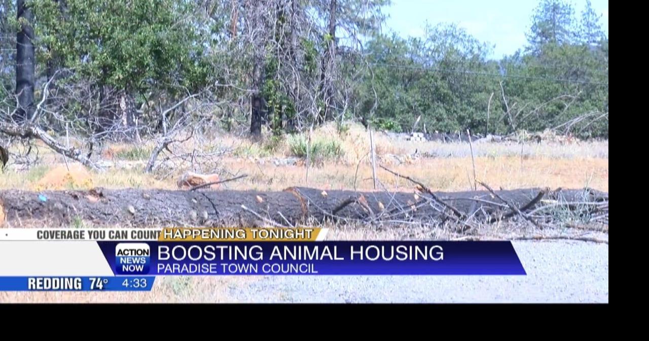 Paradise Town Council to discuss ordinance to make it easier for goats