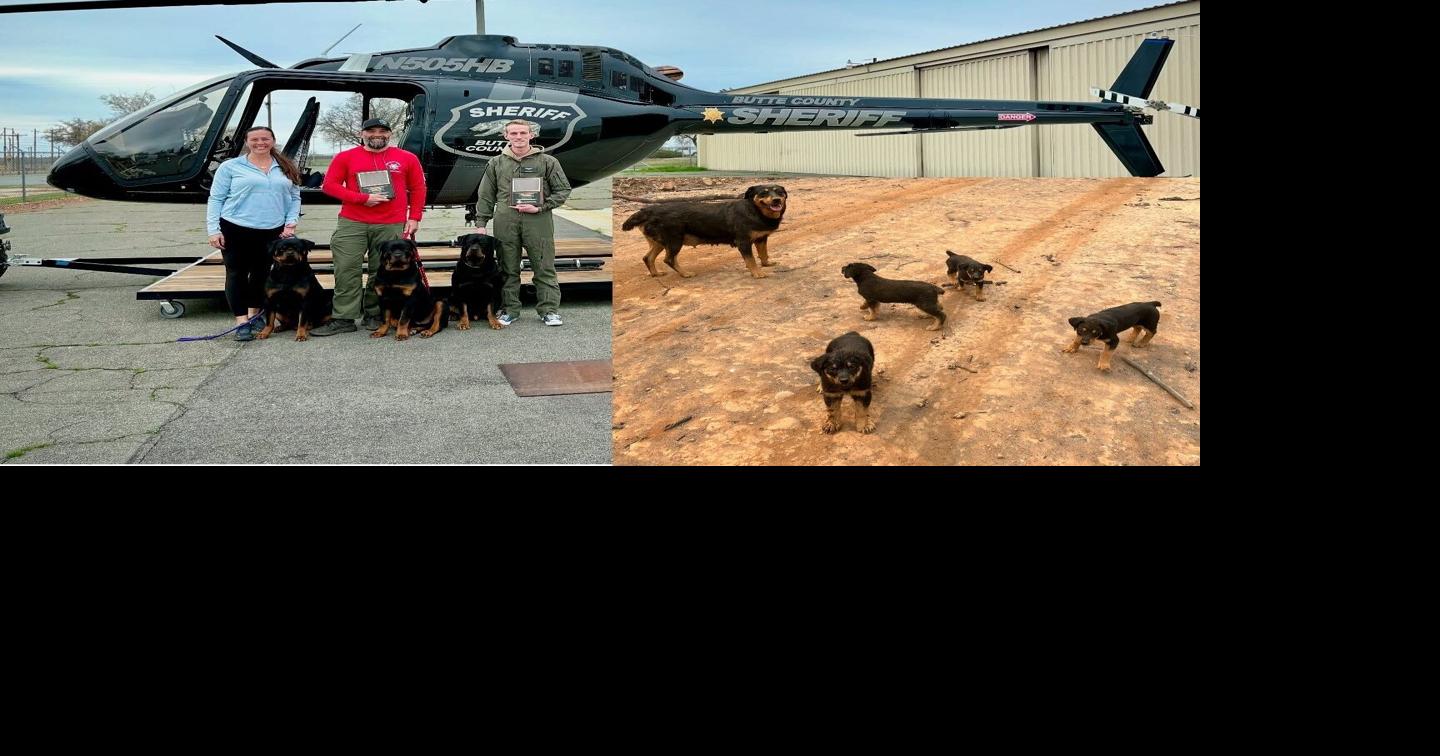 Park Fire Rottweiler rescuers honored for bravery | News ...