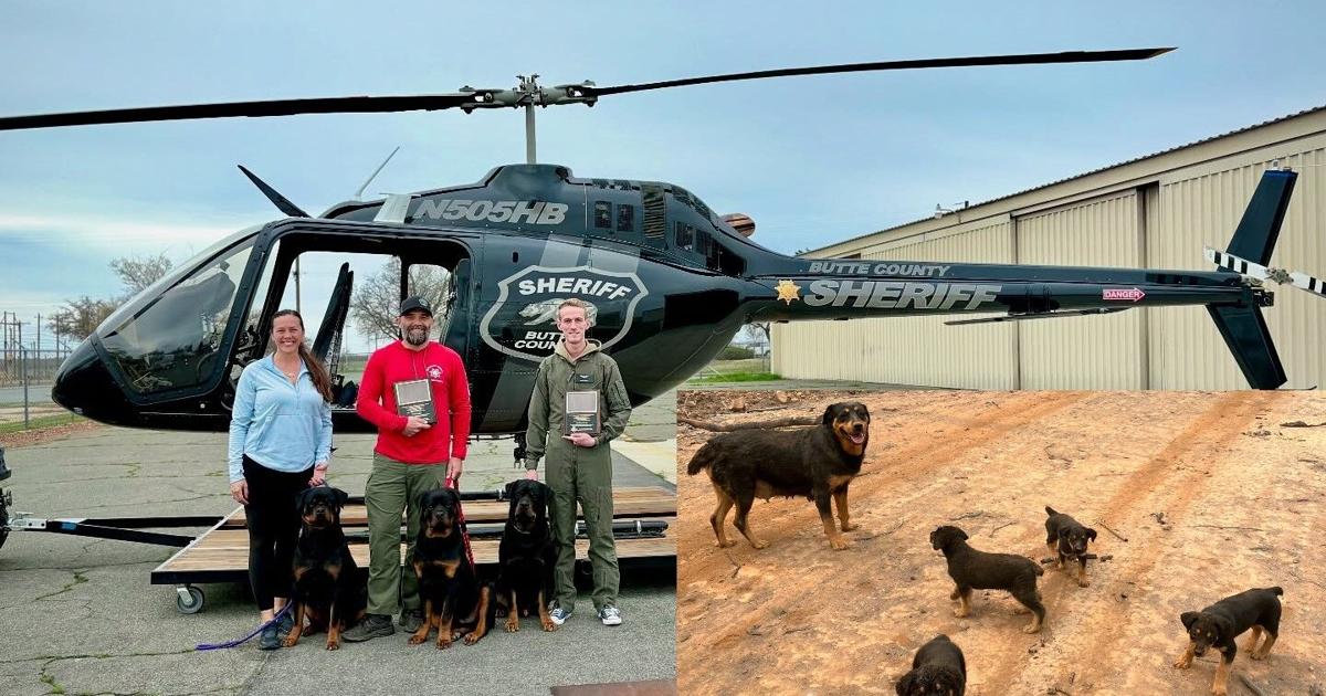 Park Fire Rottweiler rescuers honored for bravery | News ...