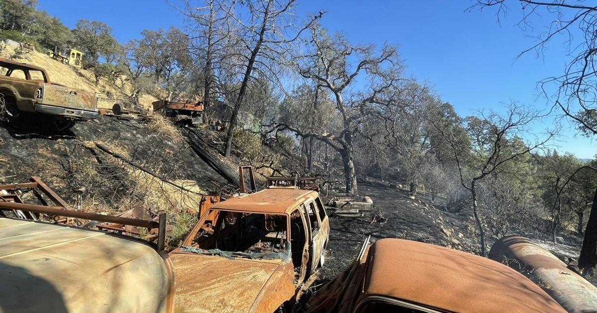 CAL FIRE responding to vegetation fire in Berry Creek Fire Watch