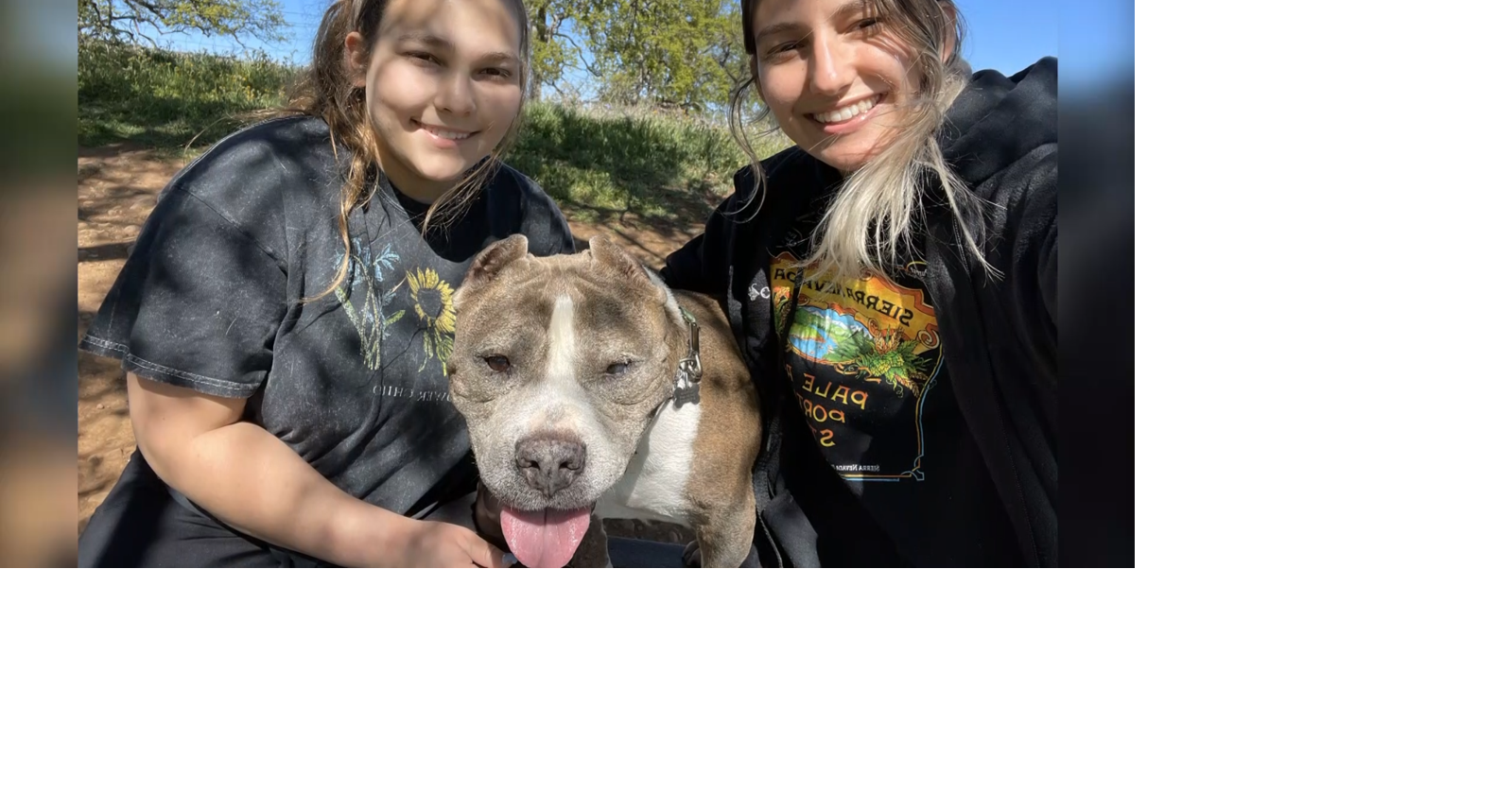 Athena Passidakis’ parents to donate entirety of fundraiser money to memorialize their daughter, upgrade Benton Dog Park | News