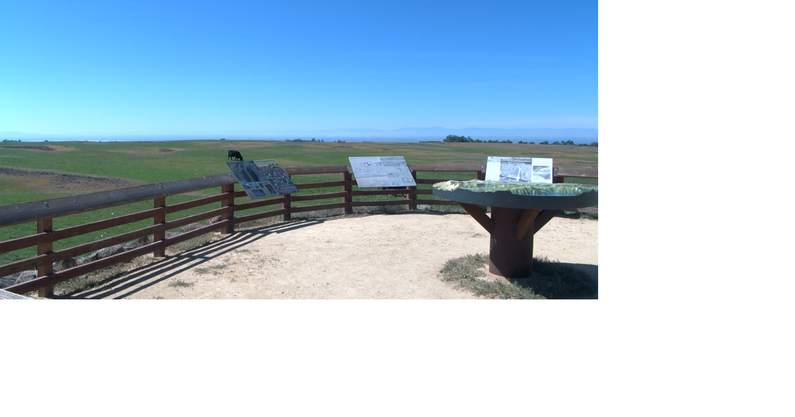 Spring wildflower bloom brings locals to North Table Mountain Ecological Reserve