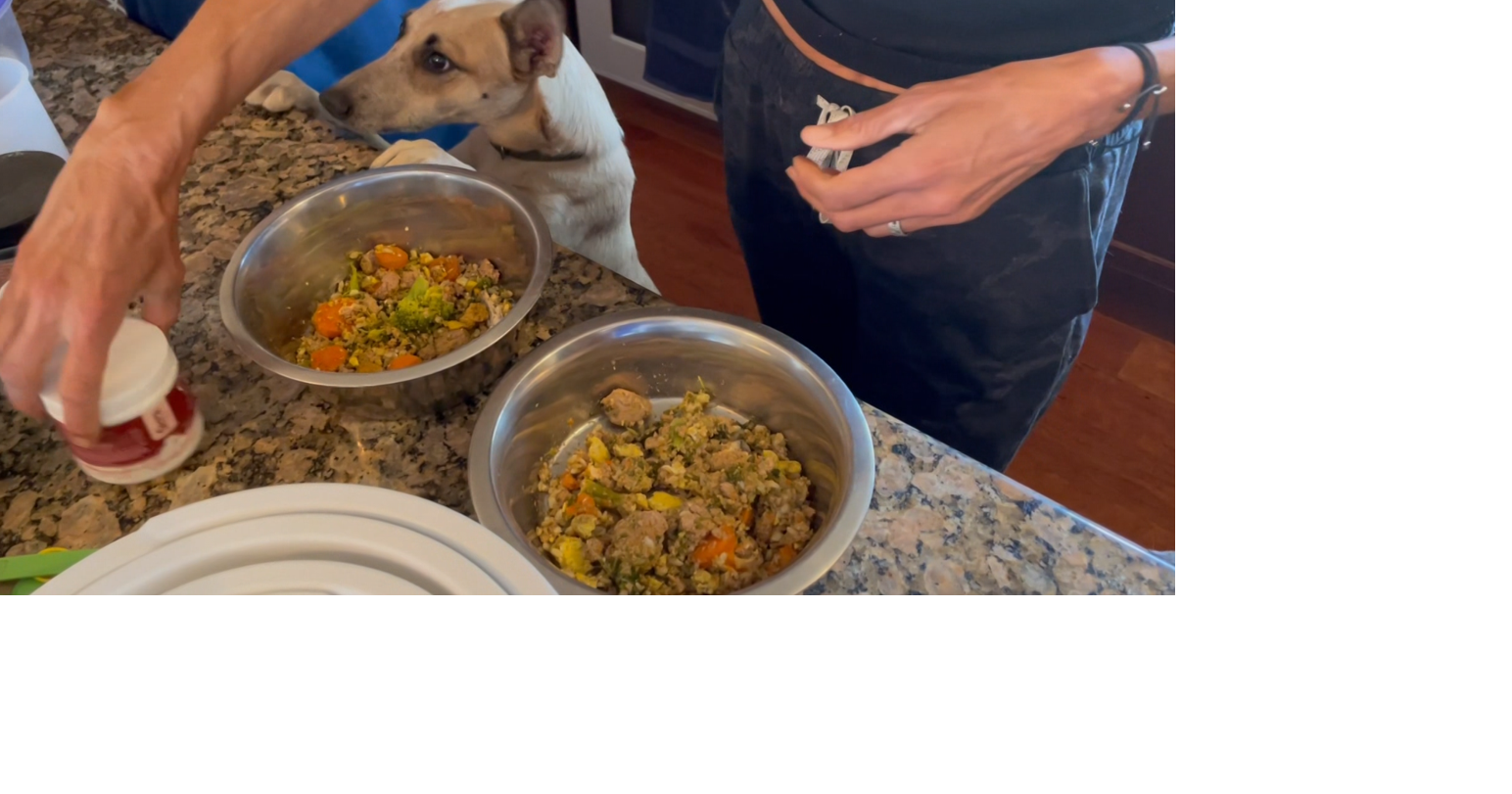Wellness Wednesday: Cooking fresh dog food from home | Wellness Wednesday