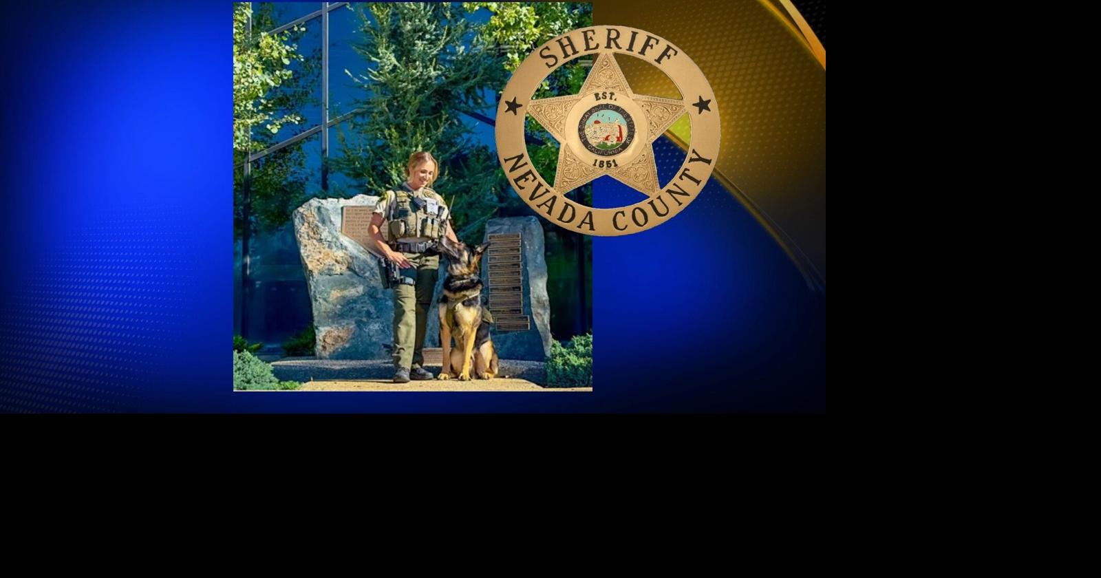 Nevada County Sheriff's honors K9 Riggs