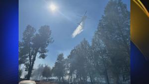 Saddle Fire in Shasta County Halted at 3 Acres