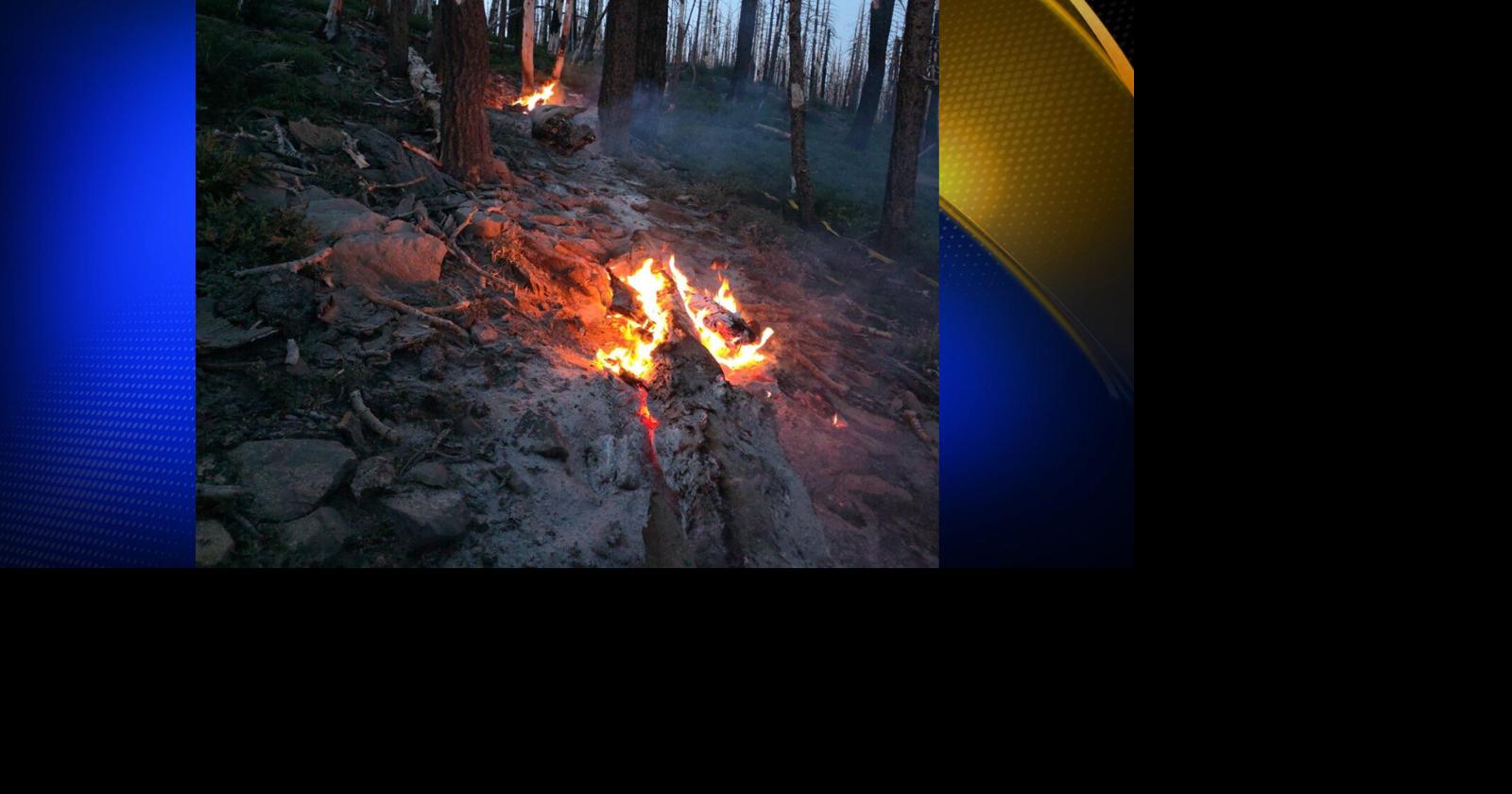United States Forest Service provides updates on multiple lightning fires in the Plumas National Forest | News